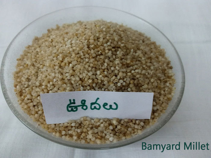 Udalu Millets 30KG