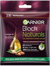Garnier Black Natural Burgundy 20g