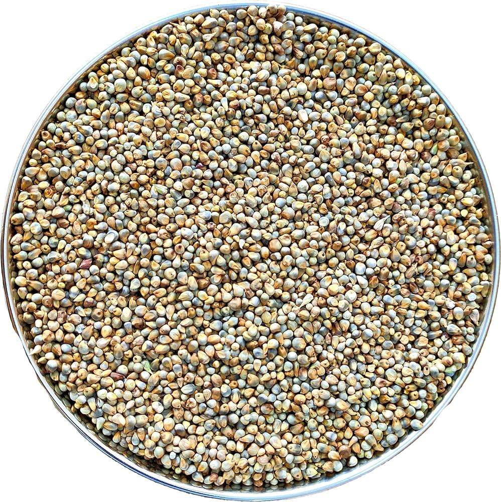 Bajra Sajjalu 2KG
