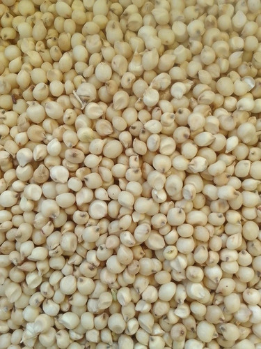 Jawar 50KG Bag