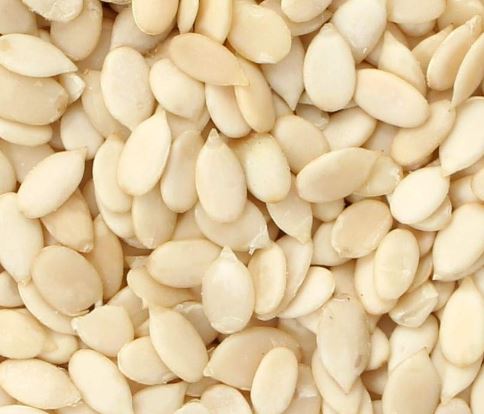 Water Melon Tarbuj Seeds 250g