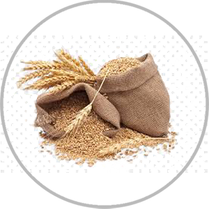 WHEAT 2 KG