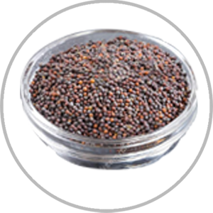 RAI BARIC 50 G