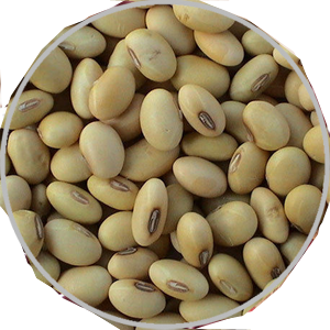 SOYA BEAN 500 G