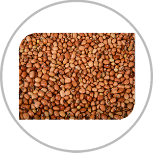 BEBERLU 500 G
