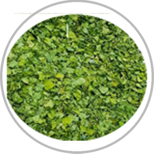 MARWADI METHI(LOSE)