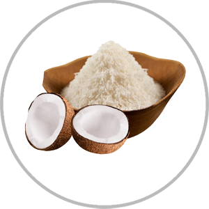 COCONUT POWDER 500 G